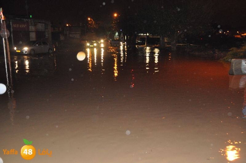 rain lud 1212 (7).JPG